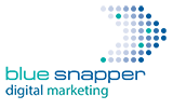 blue-snapper-digital-marketing-logo