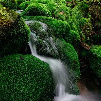 Klaviyo marketing automation flows