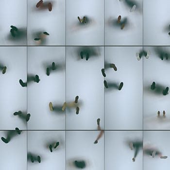 SEO Visitor Journey Audit